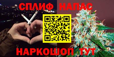 Альфа ПВП Сланцы