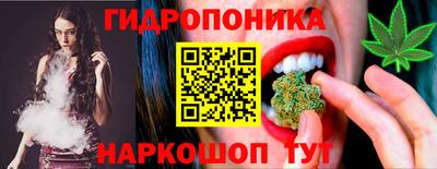 Альфа ПВП Сланцы