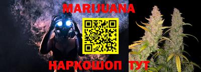 Альфа ПВП Сланцы