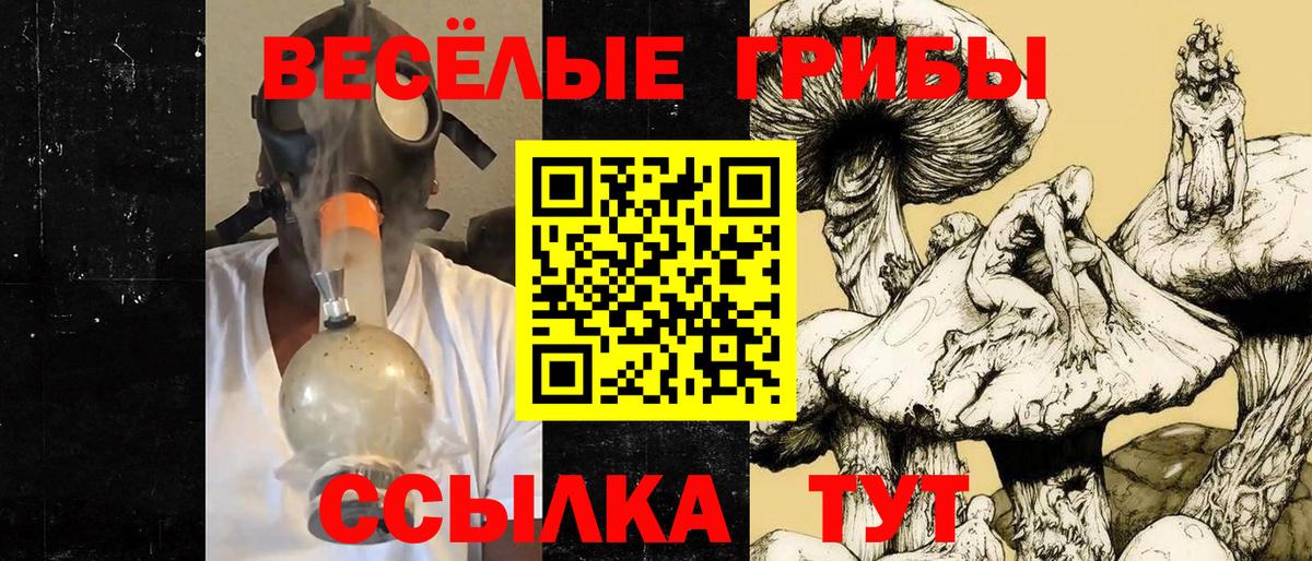 Галлюциногенные грибы Psilocybine cubensis  Вход с VPN  Псилоцибиновые грибы ЛСД  Нижний Новгород 